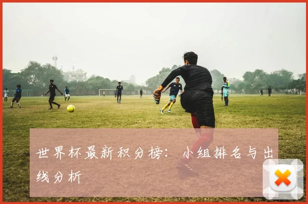 世界杯最新积分榜：小组排名与出线分析