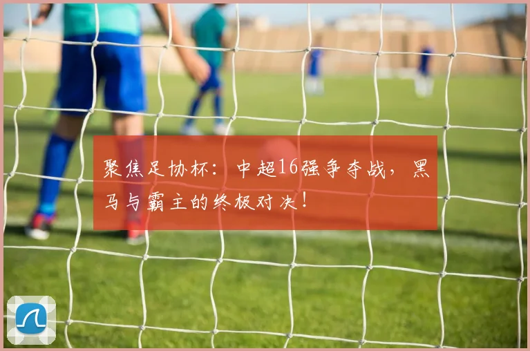 聚焦足协杯：中超16强争夺战，黑马与霸主的终极对决！