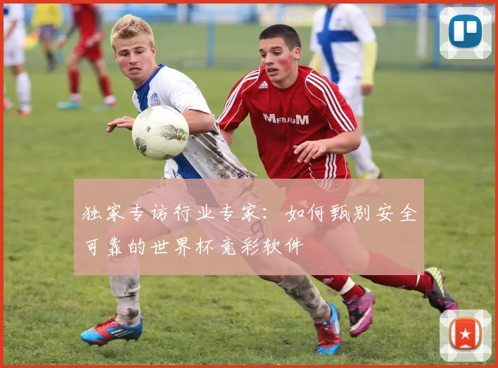 独家专访行业专家：如何甄别安全可靠的世界杯竞彩软件