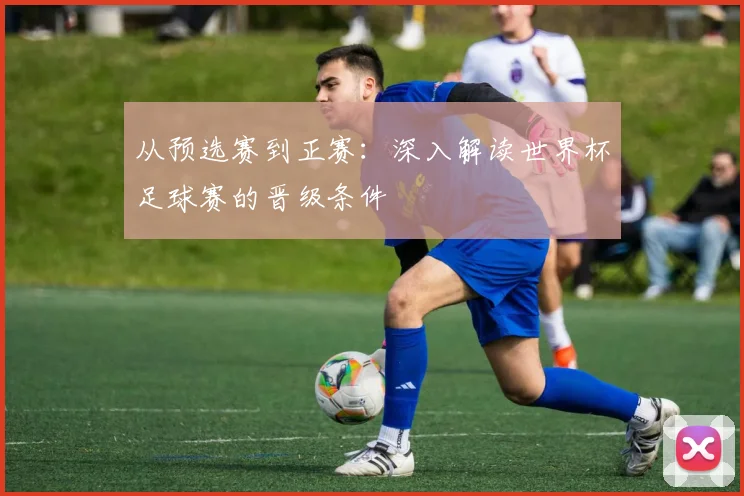 从预选赛到正赛：深入解读世界杯足球赛的晋级条件