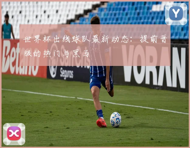 世界杯出线球队最新动态：提前晋级的热门与黑马