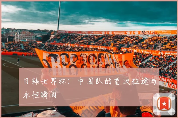 日韩世界杯:中国队的首次征途与永恒瞬间