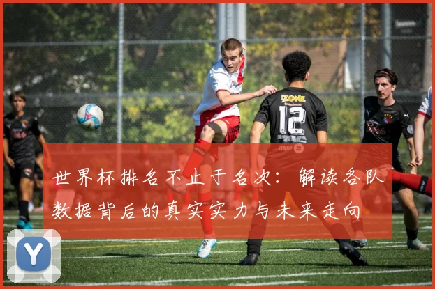 世界杯排名不止于名次：解读各队数据背后的真实实力与未来走向
