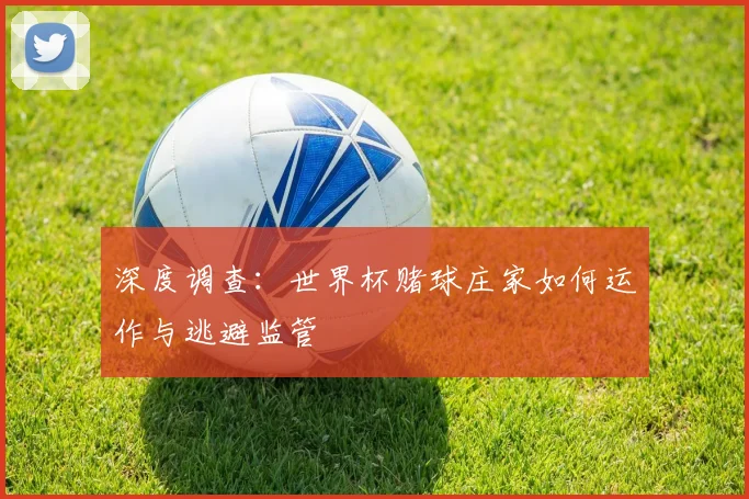 深度调查：世界杯赌球庄家如何运作与逃避监管