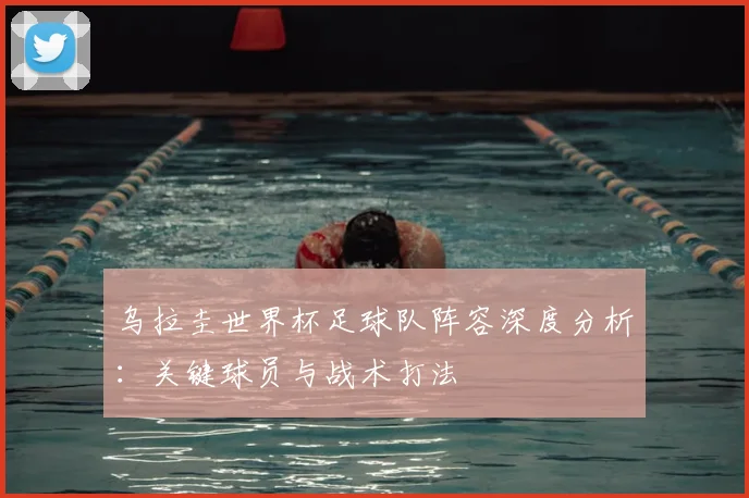 乌拉圭世界杯足球队阵容深度分析：关键球员与战术打法