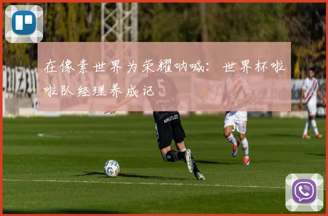在像素世界为荣耀呐喊：世界杯啦啦队经理养成记