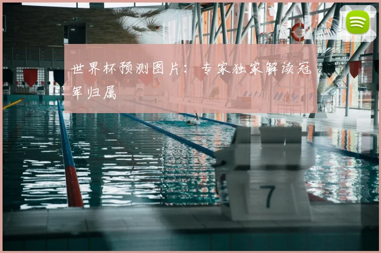 世界杯预测图片:专家独家解读冠军归属