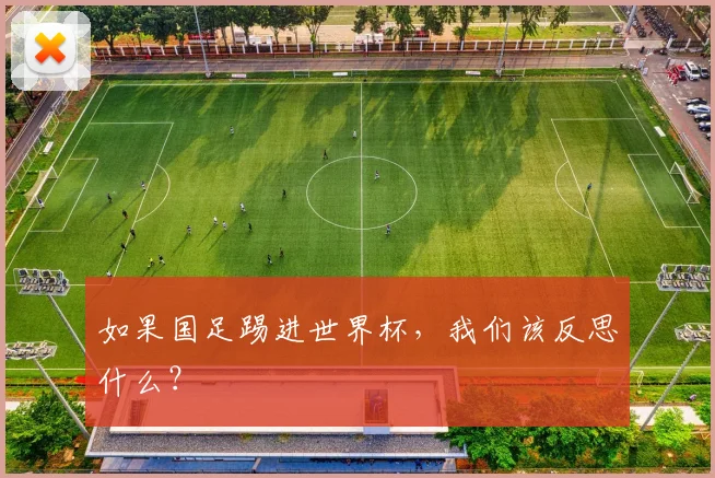 如果国足踢进世界杯,我们该反思什么?