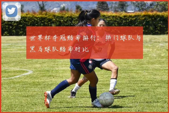 世界杯夺冠赔率排行:热门球队与黑马球队赔率对比