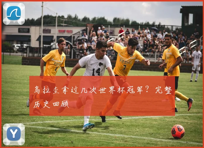 乌拉圭拿过几次世界杯冠军?完整历史回顾