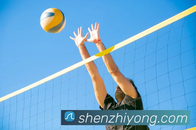 世界杯直播入口官网平台生态图